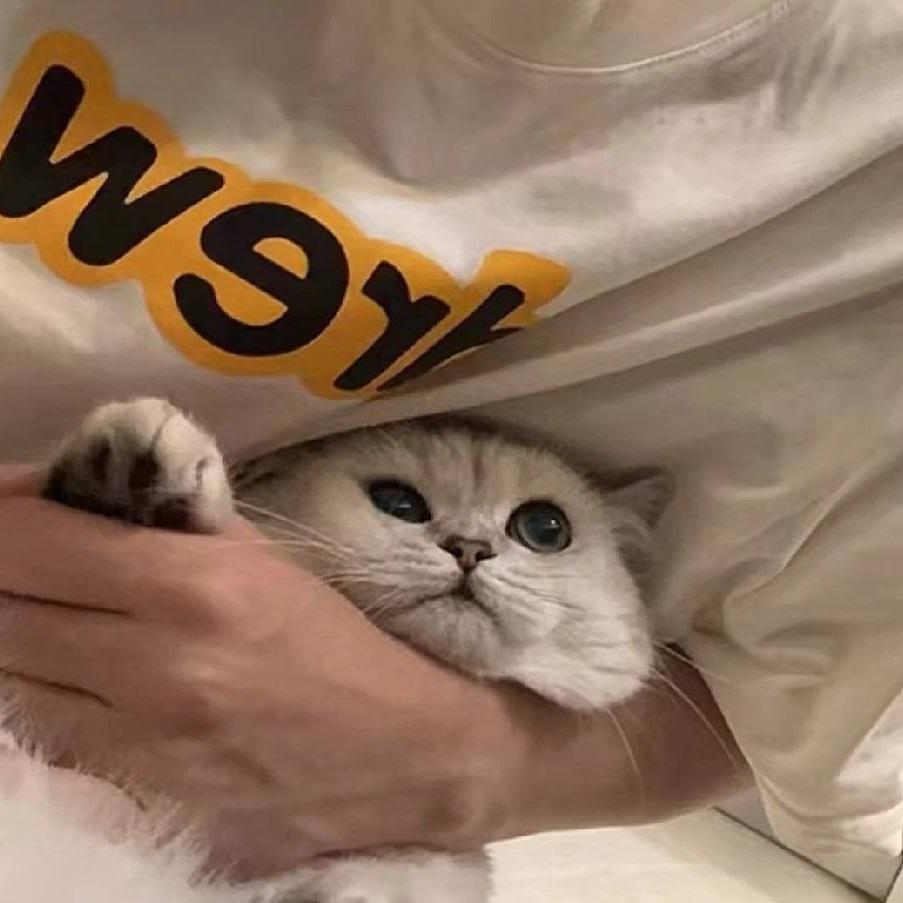网名