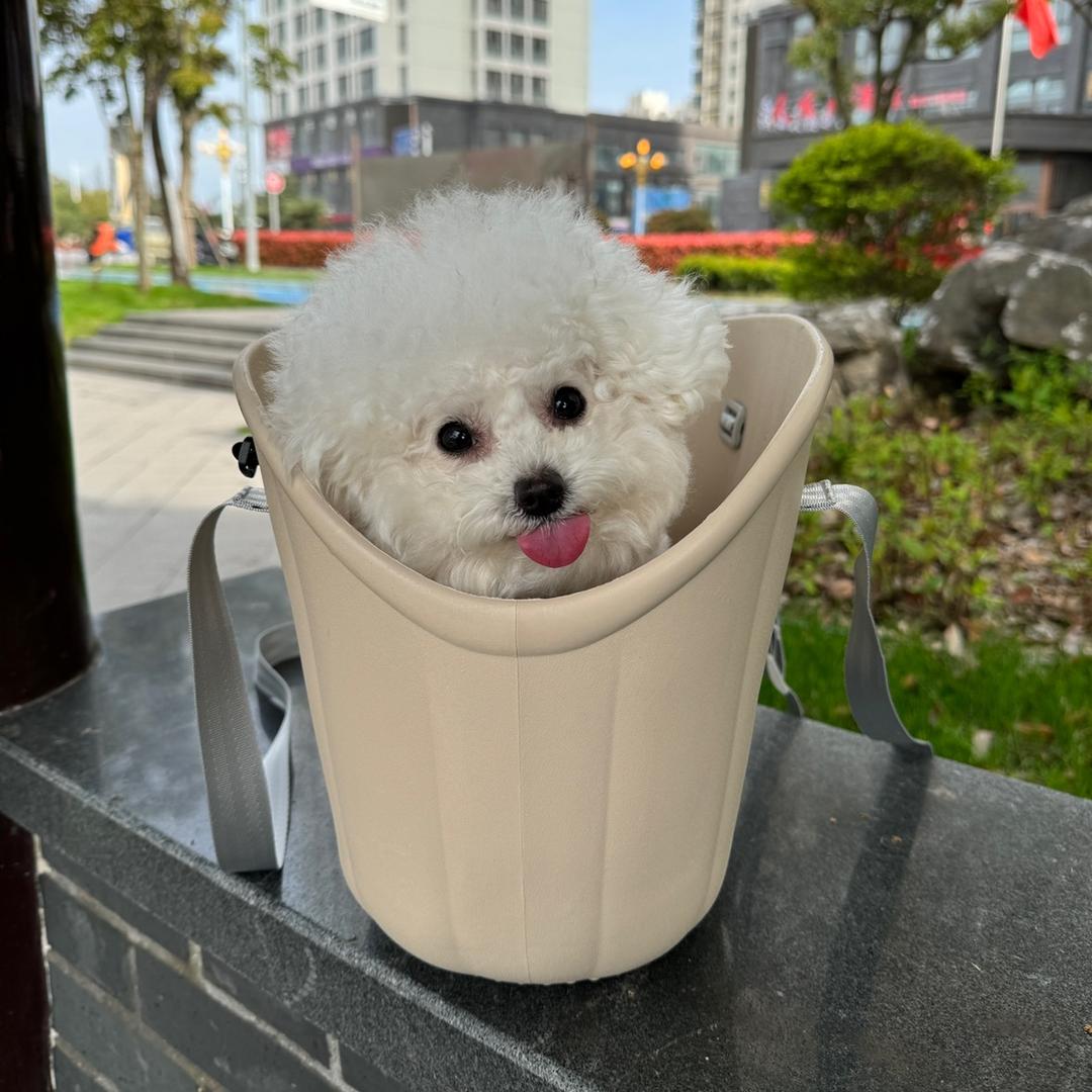 嘟小花
