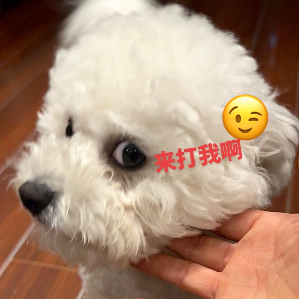 QIAN倩