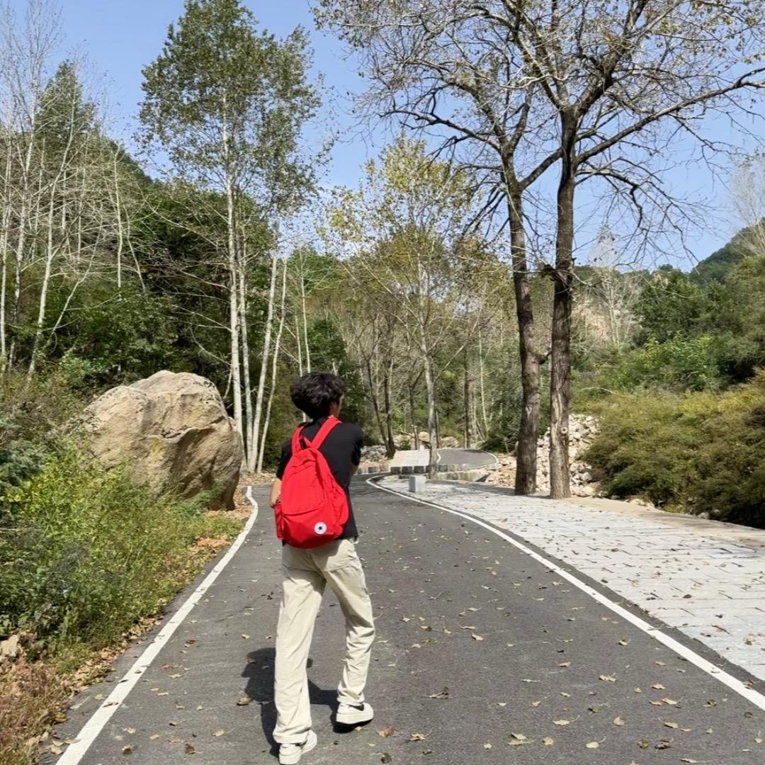 骑老奶奶过马路