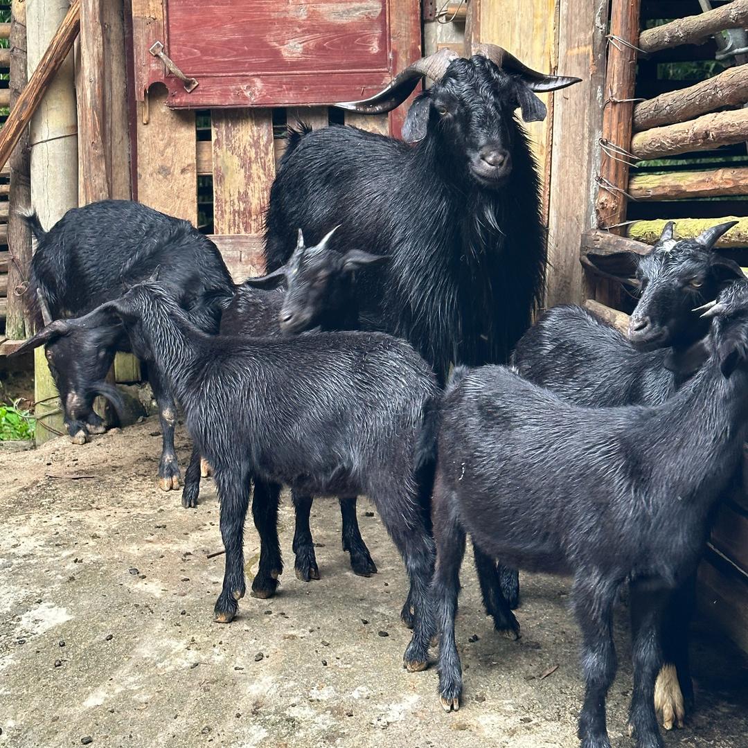 广宁县山拉卡生态农场