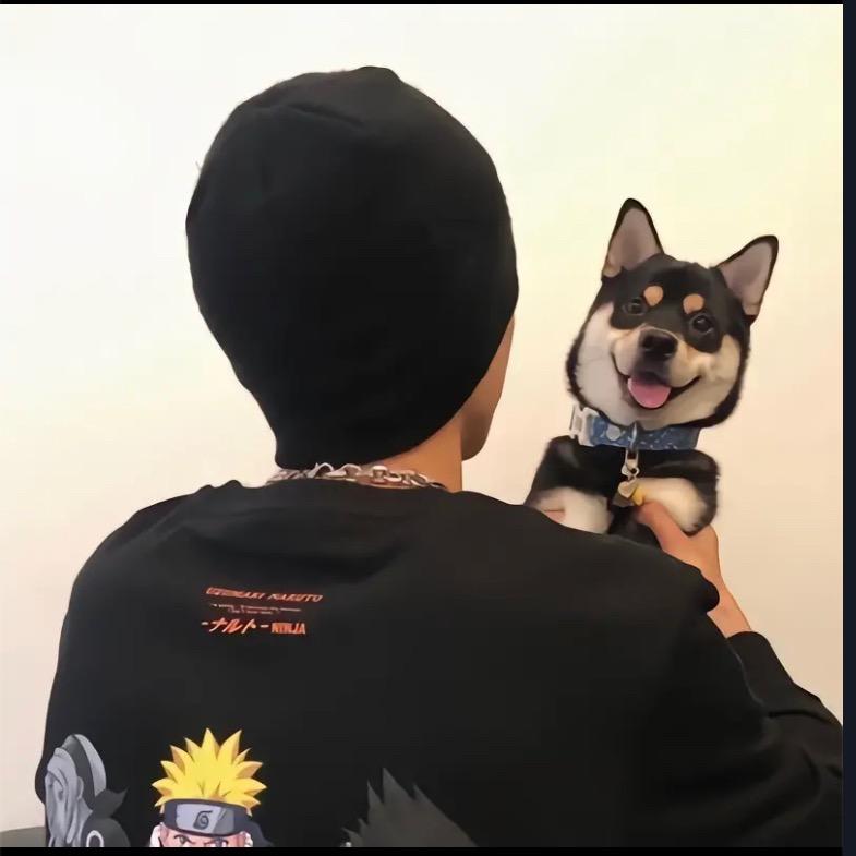 每天都好困^