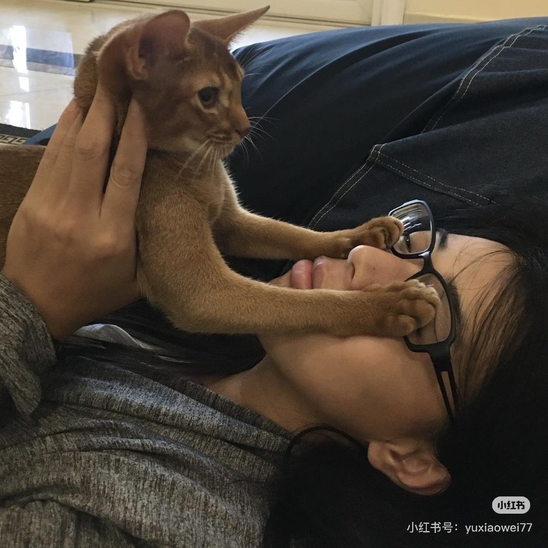 米奇脏脏包