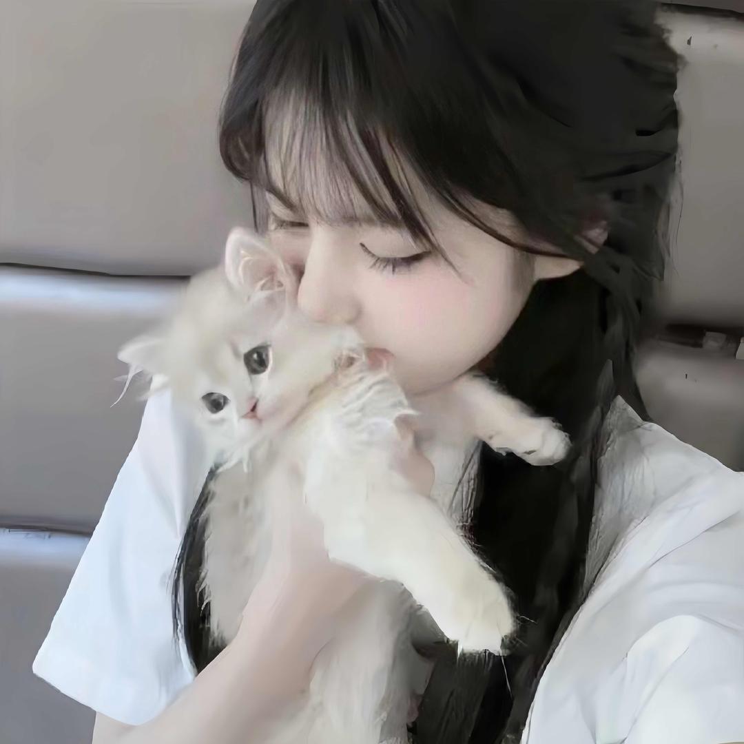 一只做装修的包子