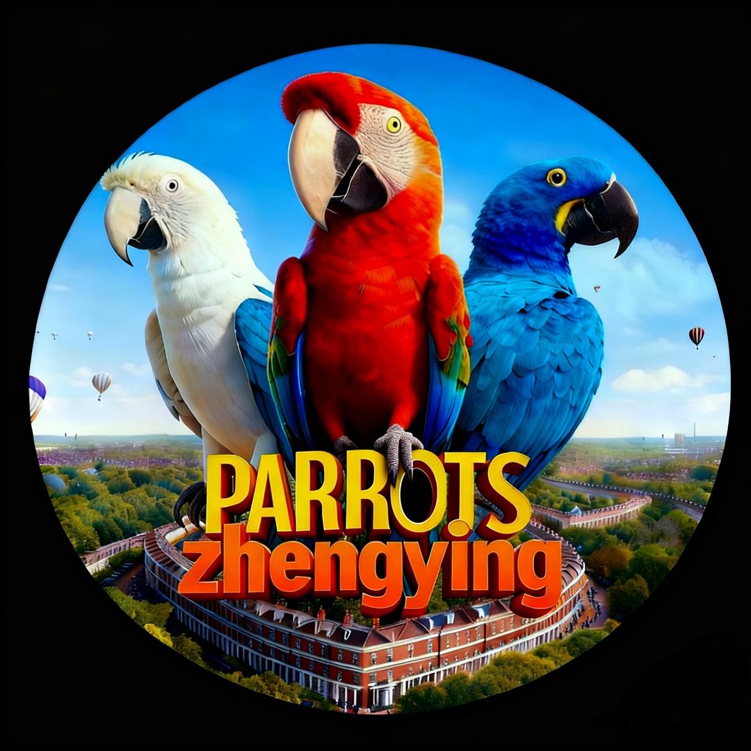正鹦(鹦鹉)