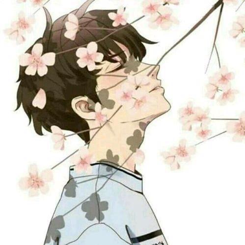 夜不能妹