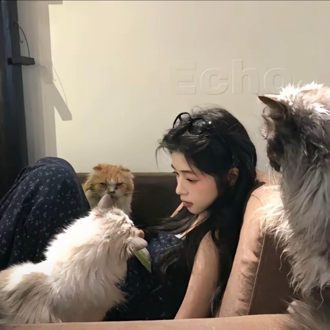 简决
