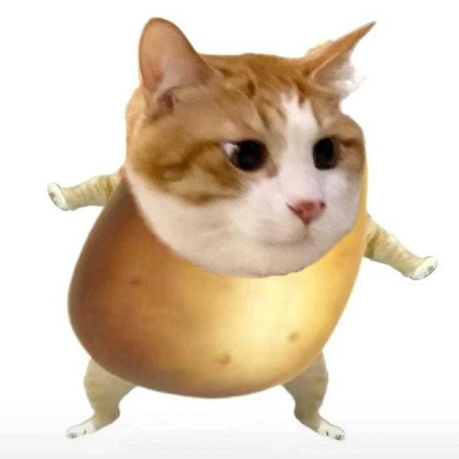 聪明potato