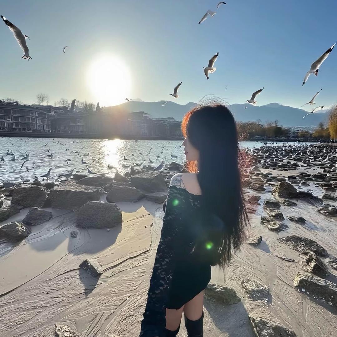 阳似光