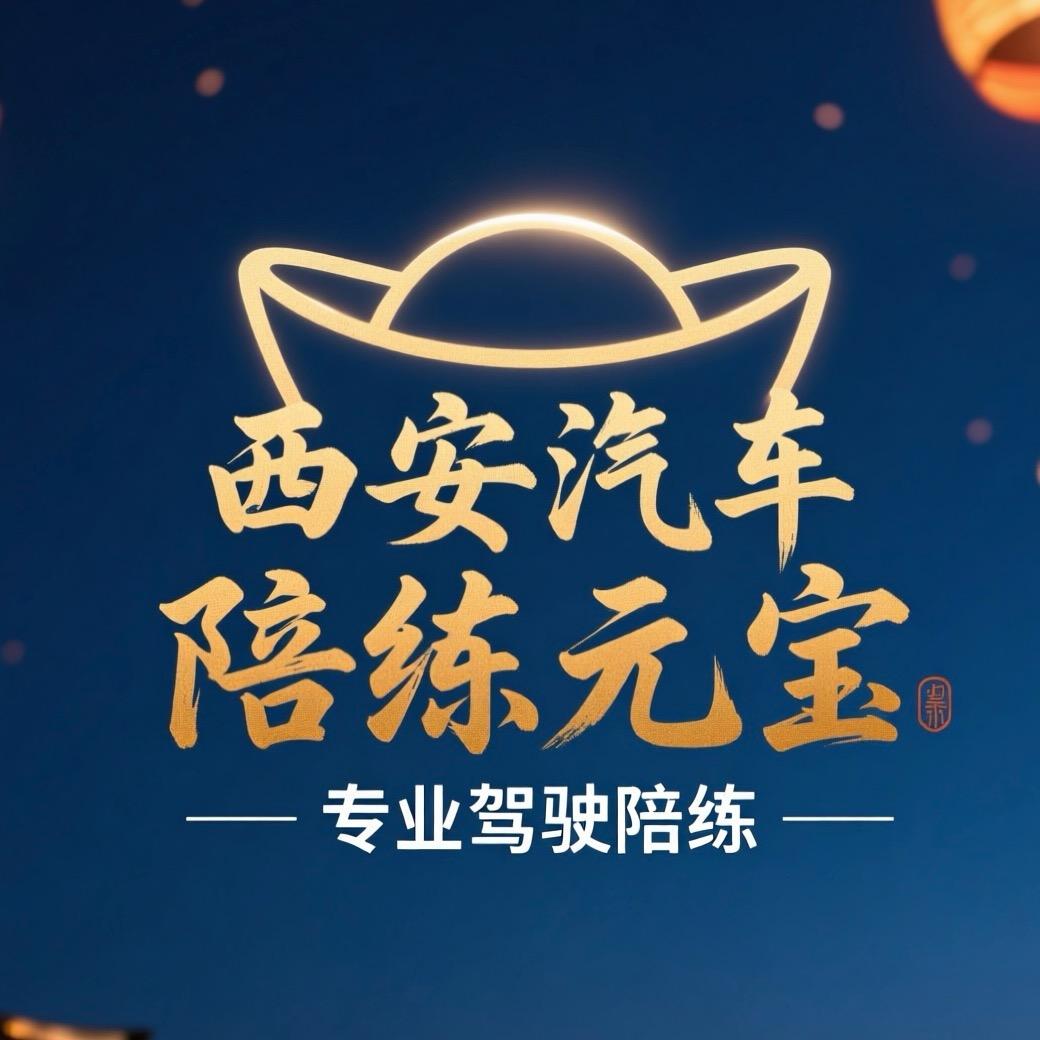 西安汽车陪练