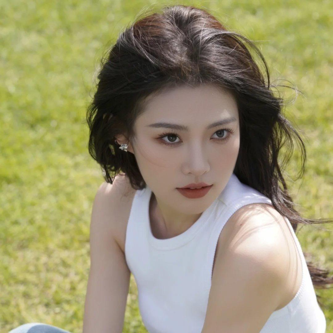 西西象鱼