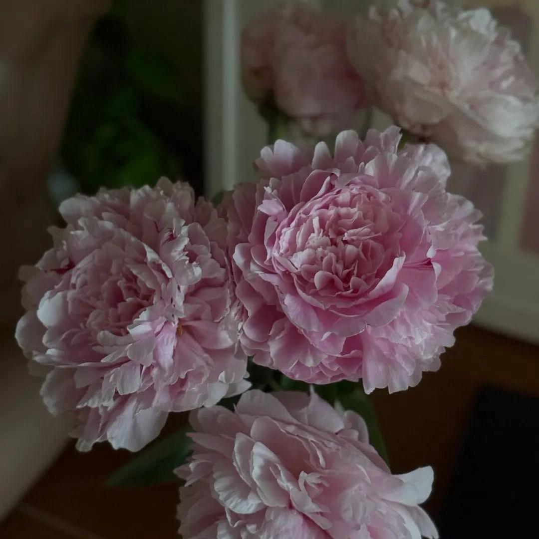 may
