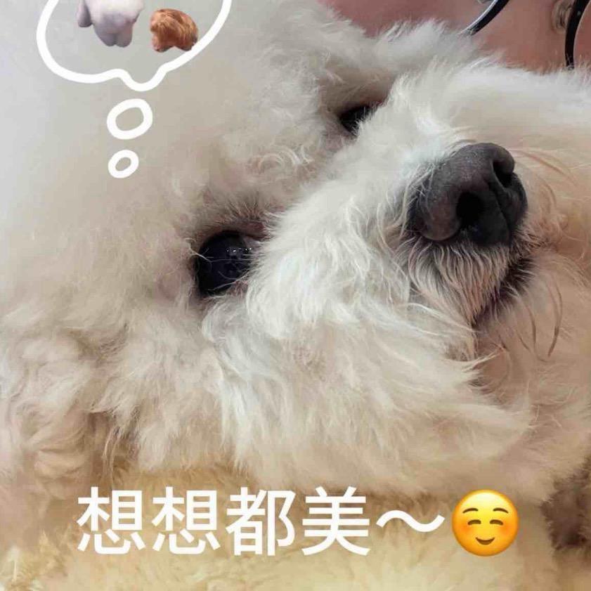 早起真的很简单