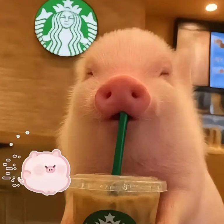 爱吃小猪🐖