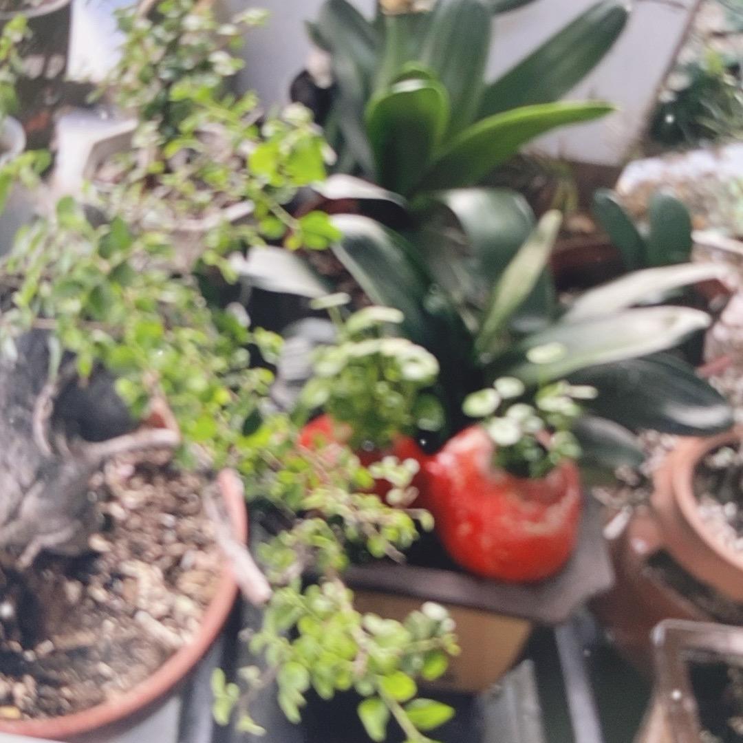 幸福是你