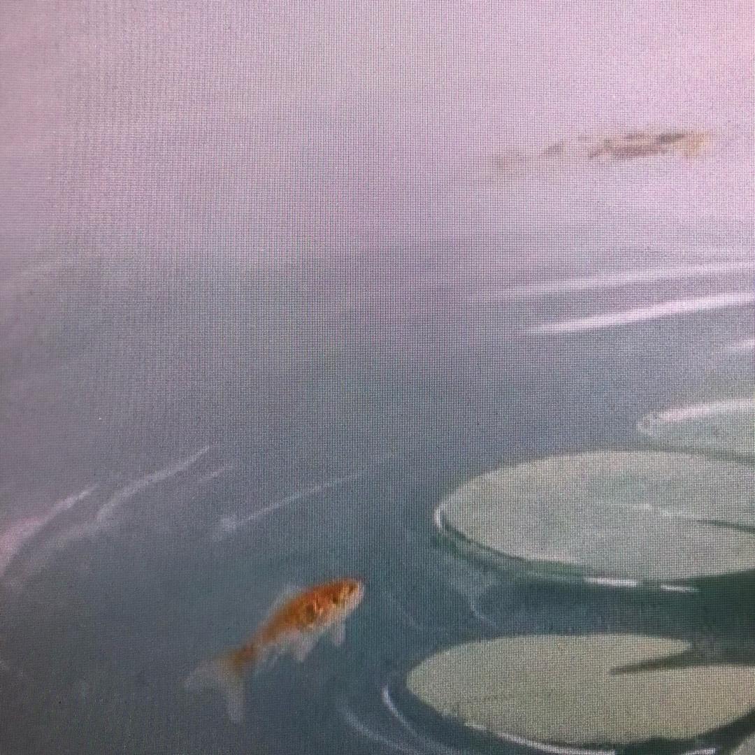 叶童子