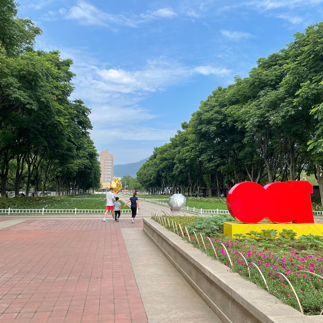 不熬夜的杨同学