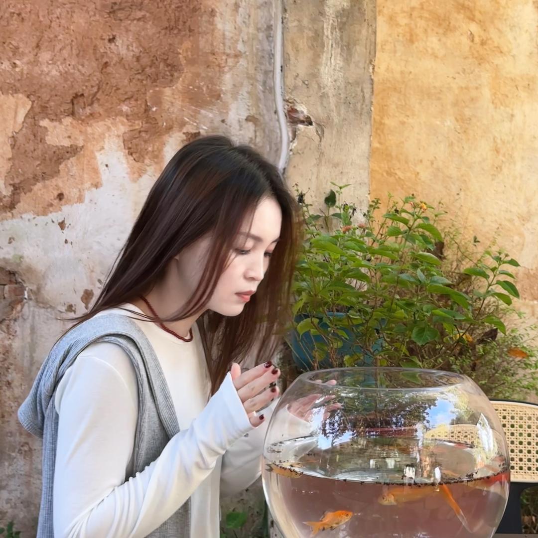 晨晨麻麻