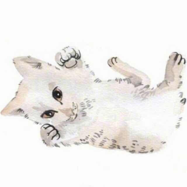 不与