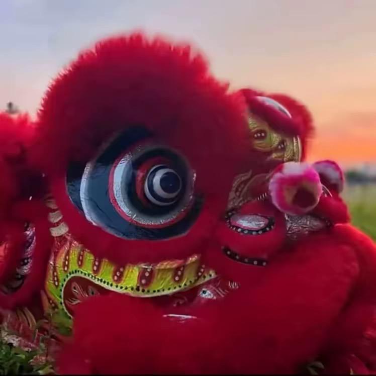 贺州市胖哥醒狮龙狮团