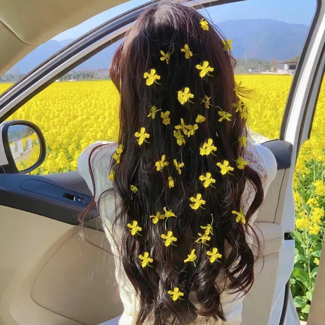 萧萧