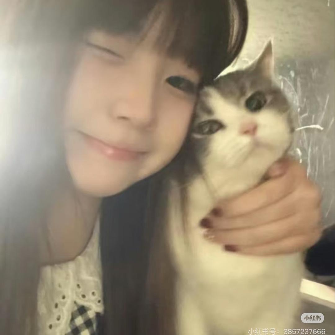 Kk77