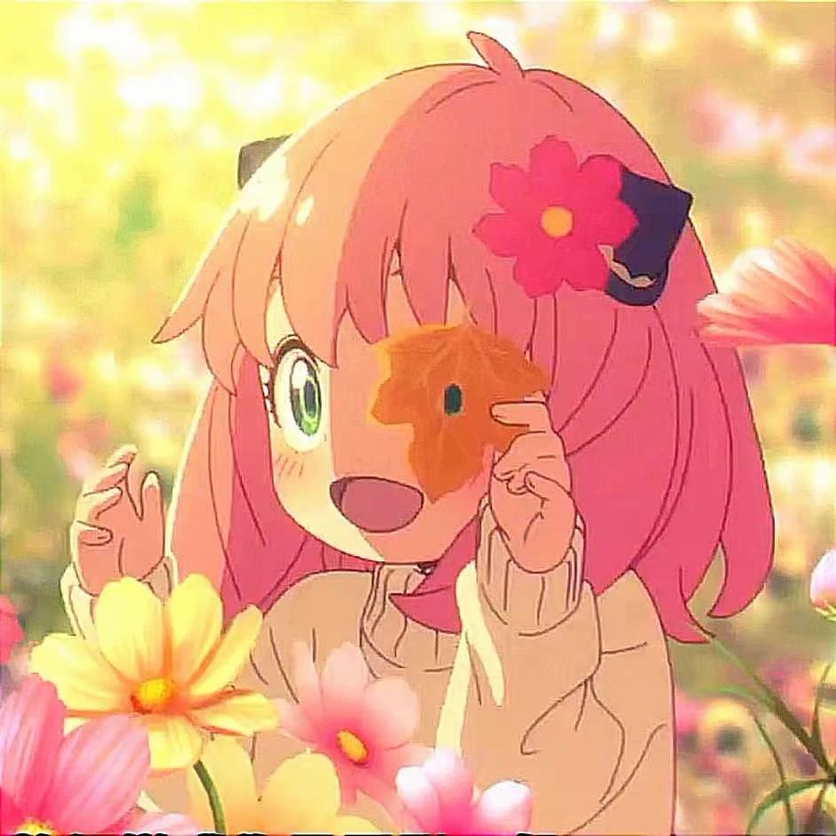 薯片姐.（限流版）