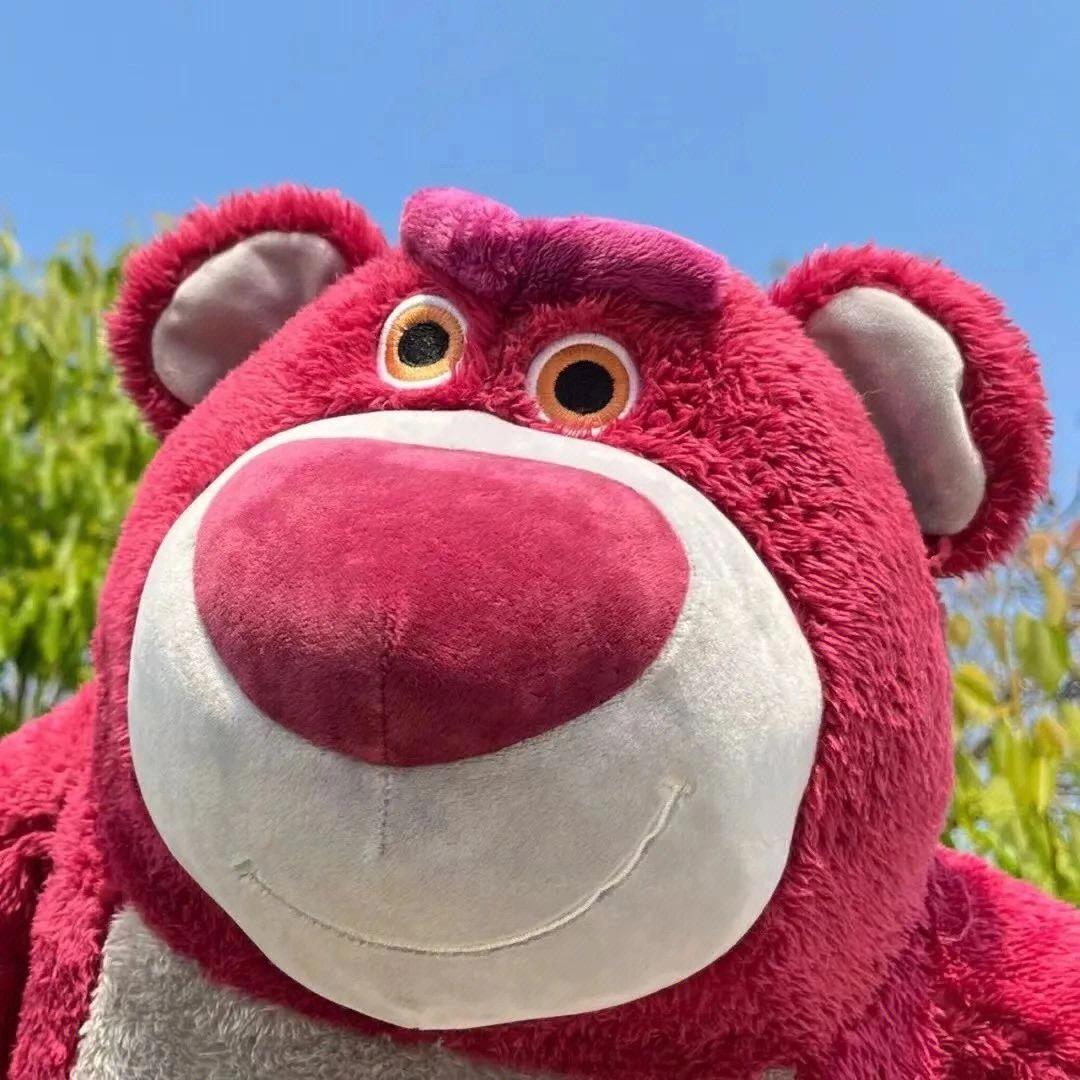 🐻郑开心呐🐻