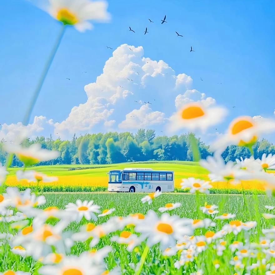 ♡弎拾➕♡