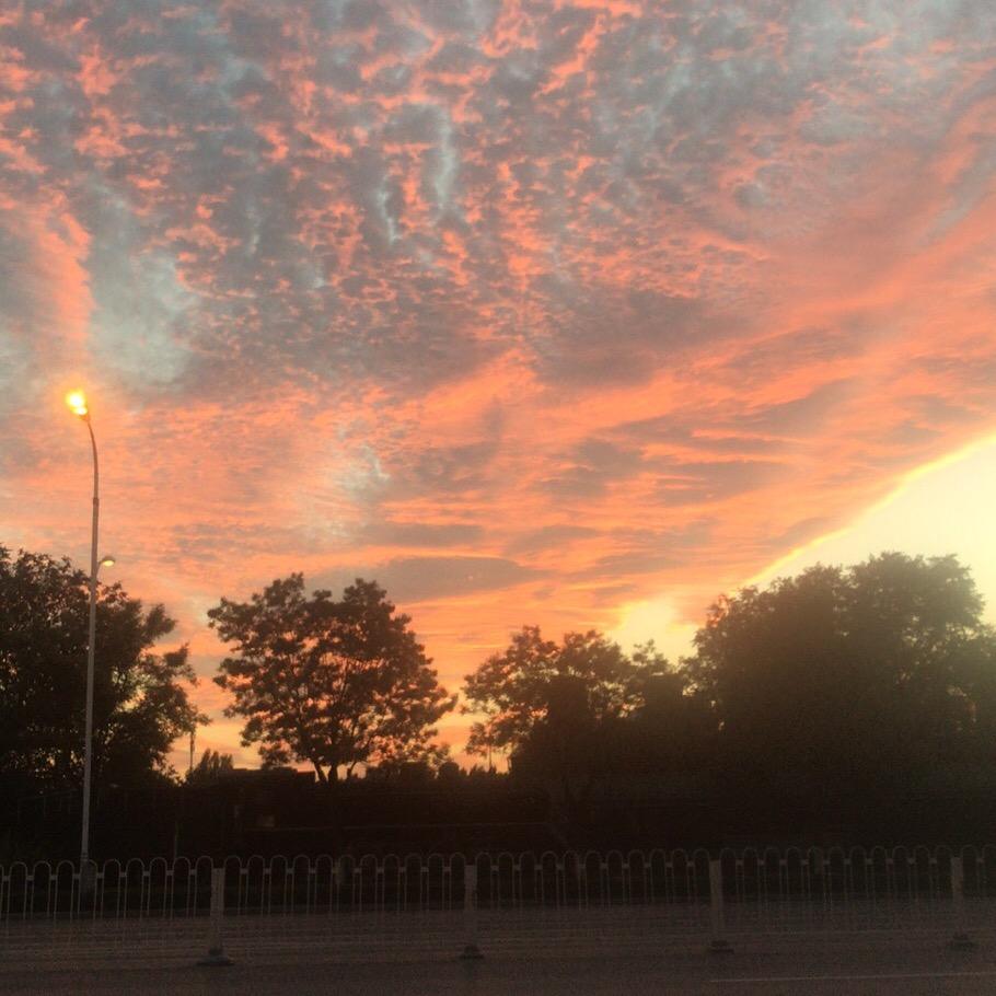 💕 ❧⁵²⁰唯杜宠李🦋꧔ꦿ᭄💞