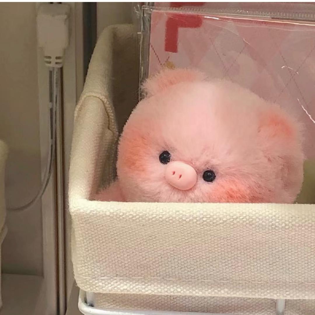 二0