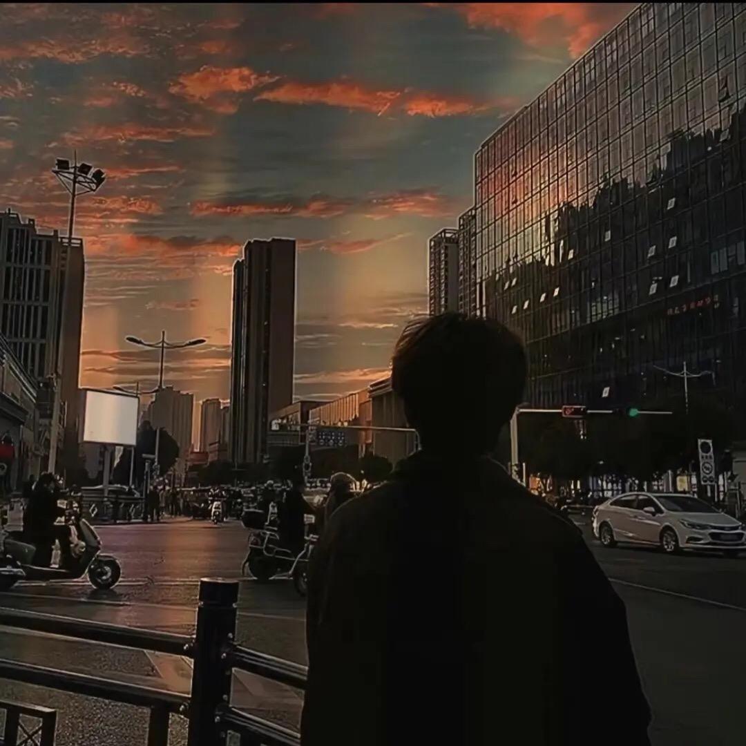 杨哥讲真话
