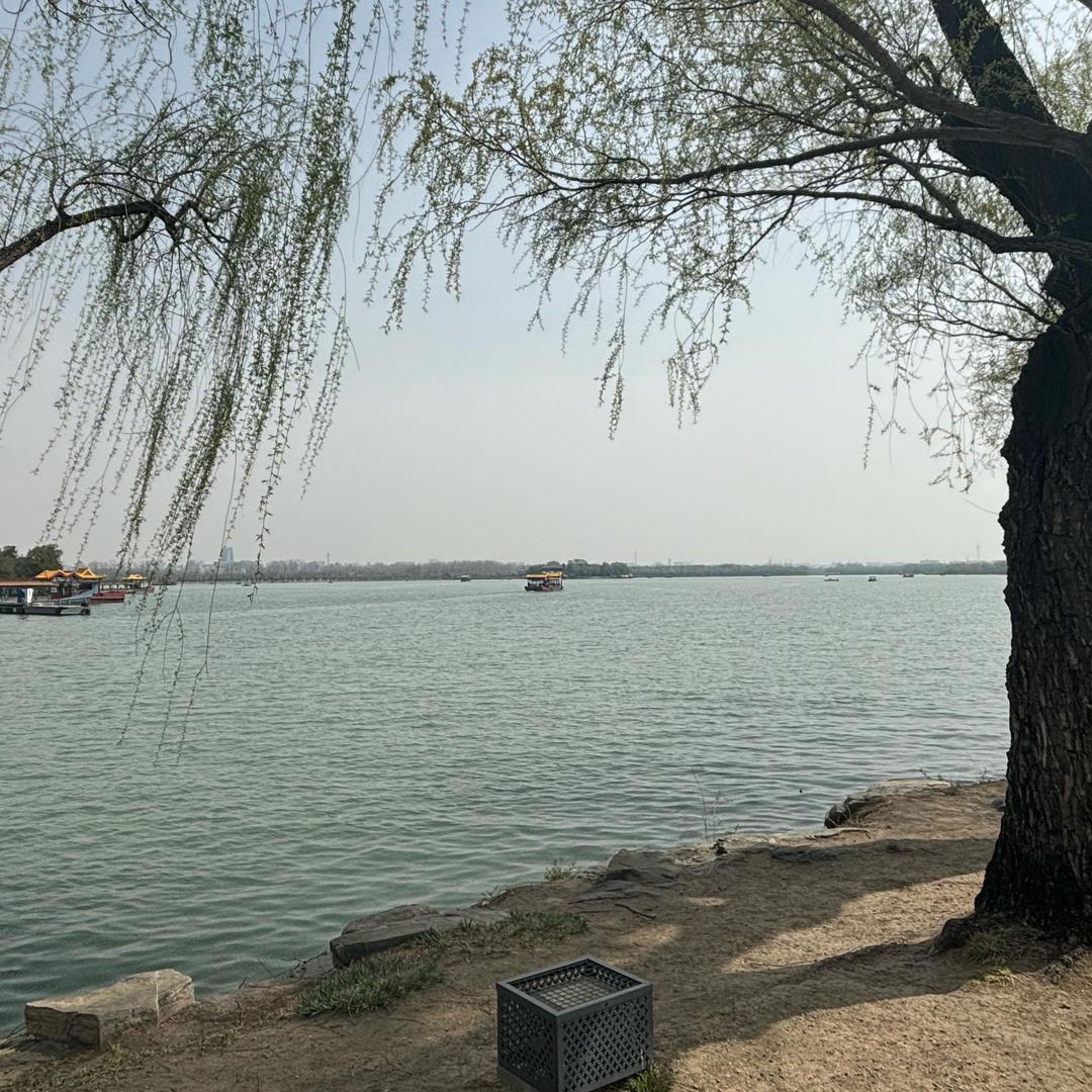檬初