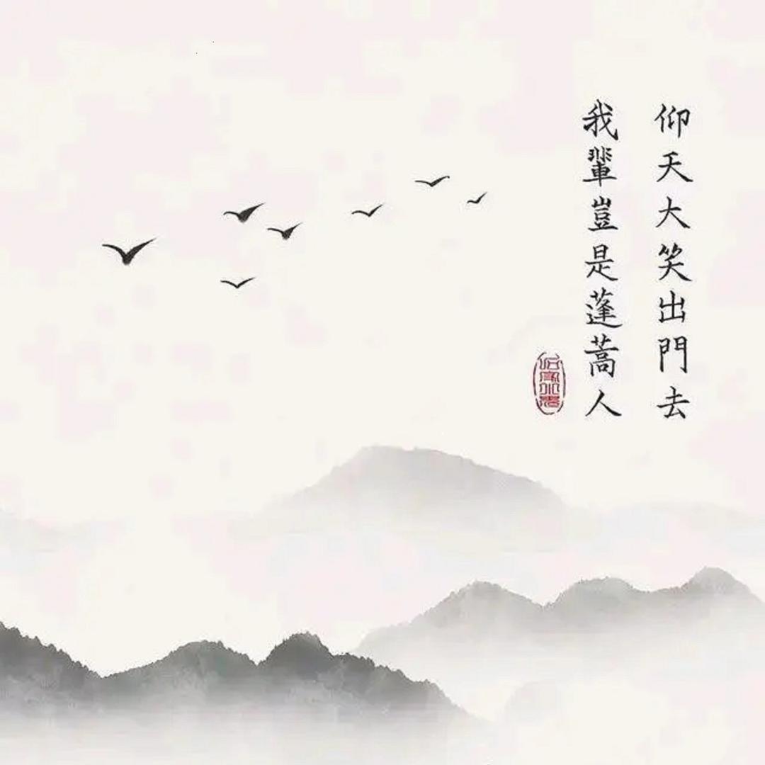 轻狂无妨