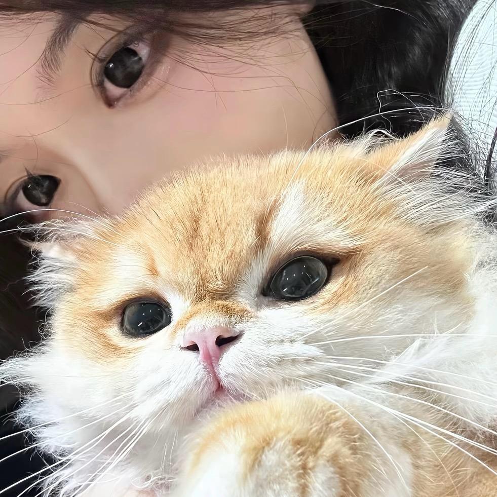 郁阴小猫˃ 𖥦 ˂