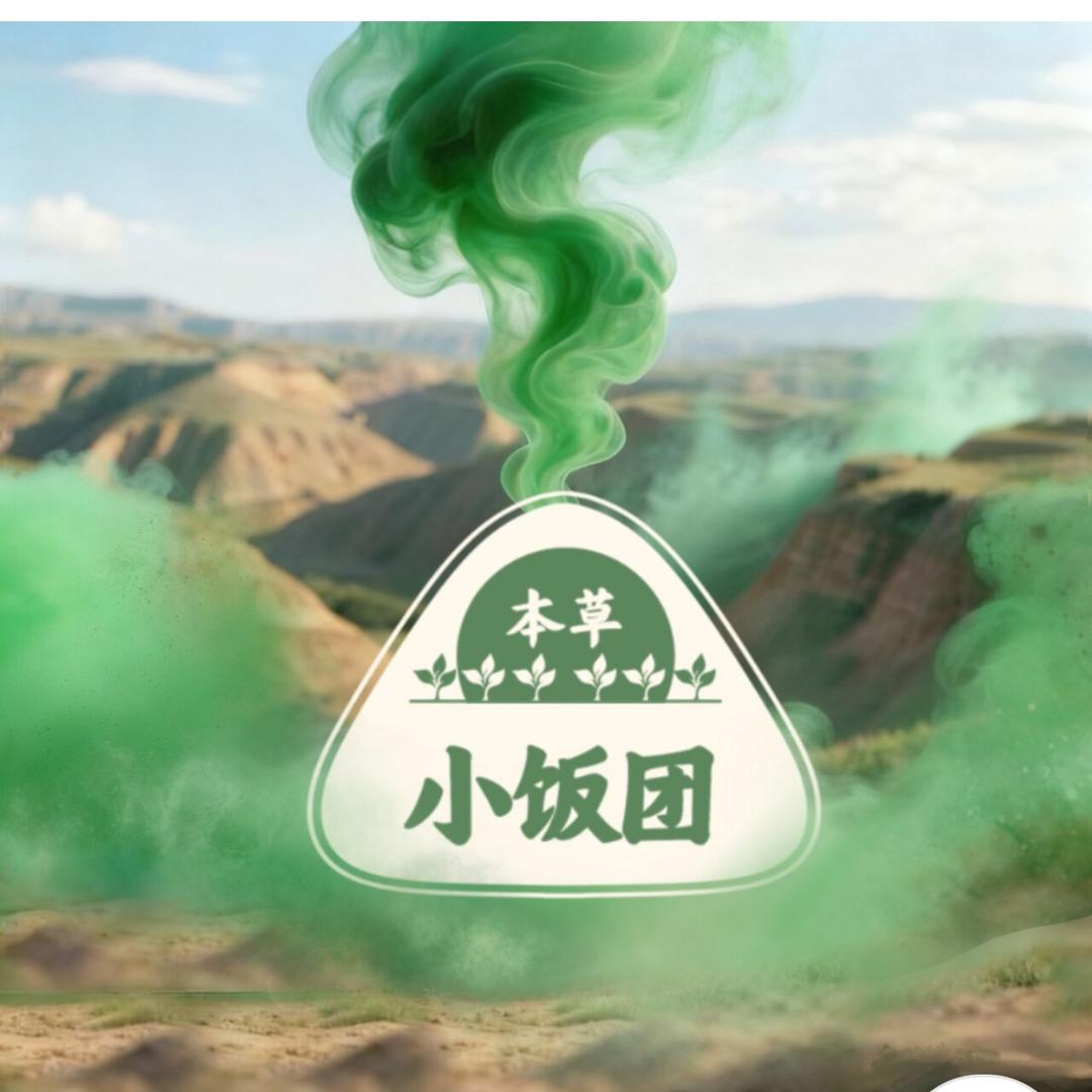 青烟小饭团