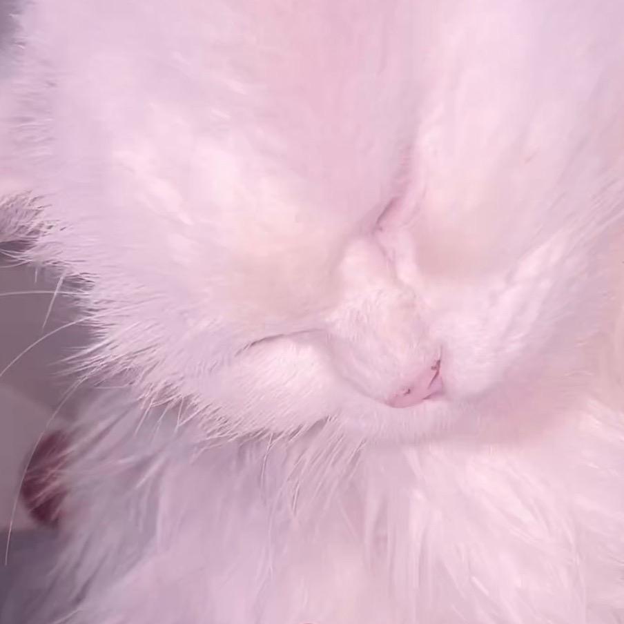 鱼鱼鱼鱼鱼鱼鱼鱼鱼鱼鱼鱼鱼鱼鱼鱼鱼鱼鱼鱼