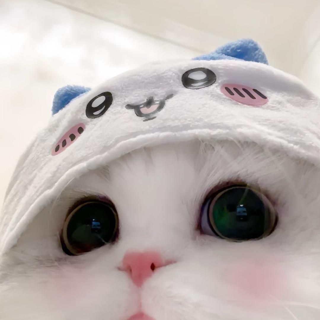 蛋餅