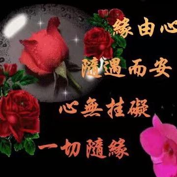 知心朋友🎈