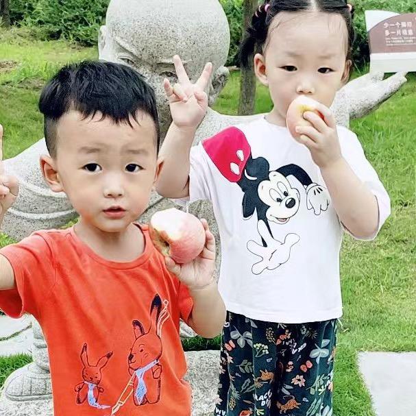嗷嗷🐔