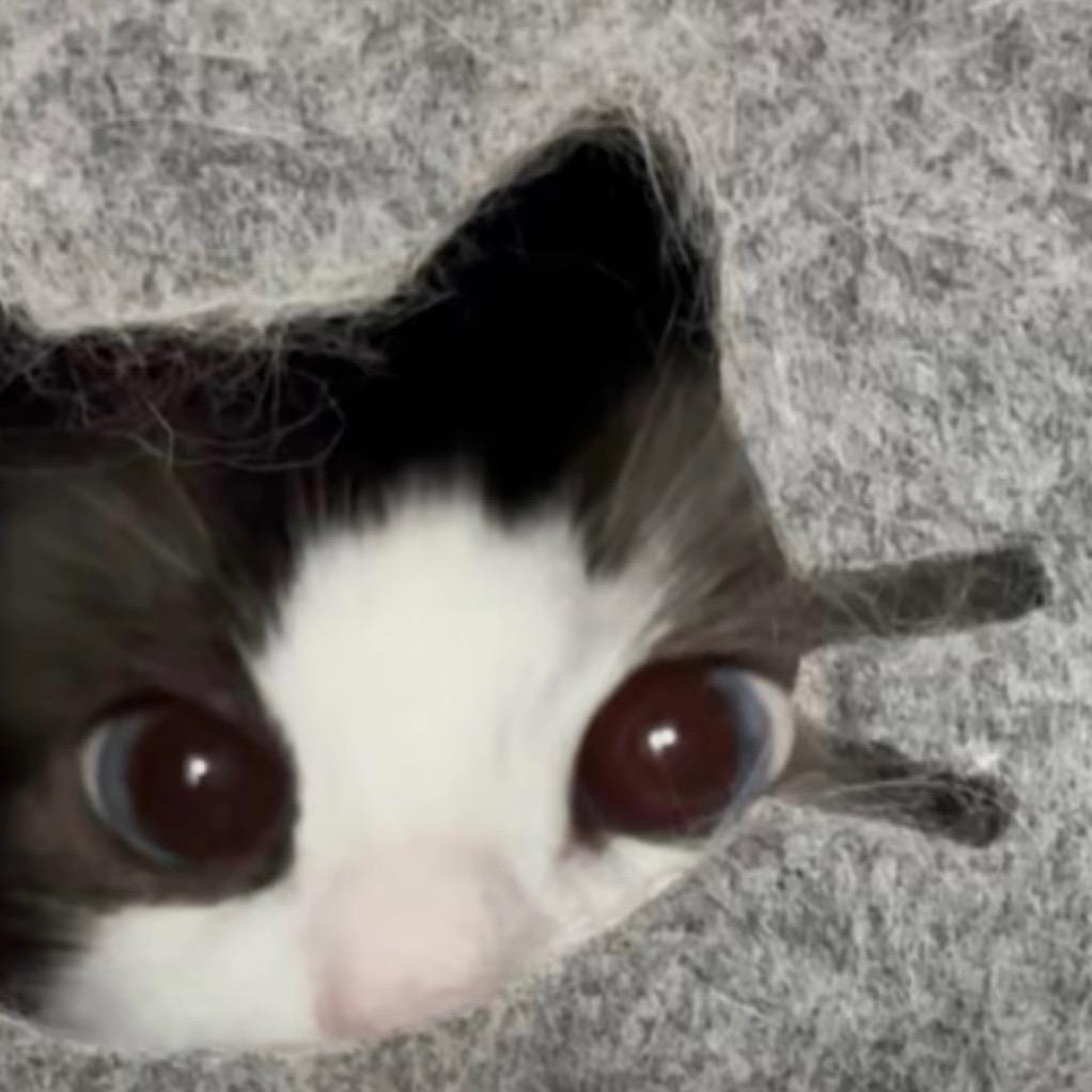 hello榆