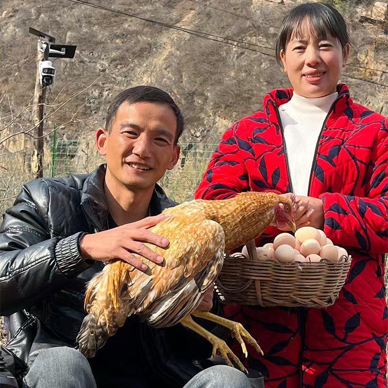 王林 小海 (爱的神话)