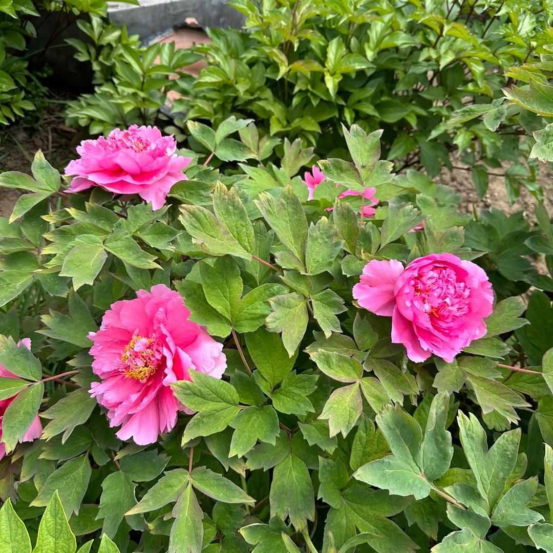 三弘沙发🌽🌽🌽