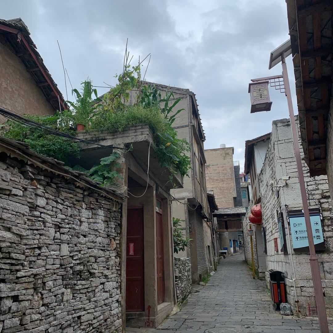 小苹果爱吃苹果