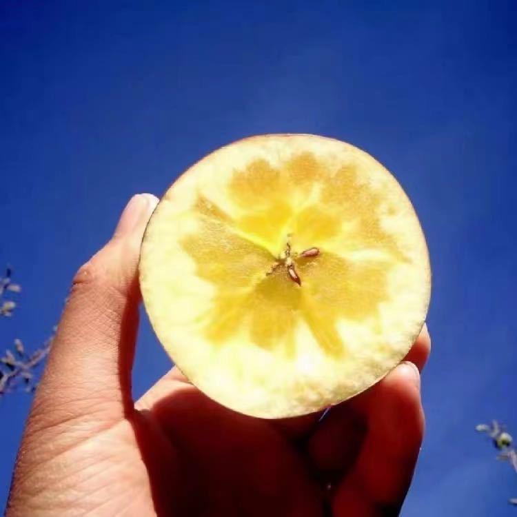 昭通森鲜种植专业合作社