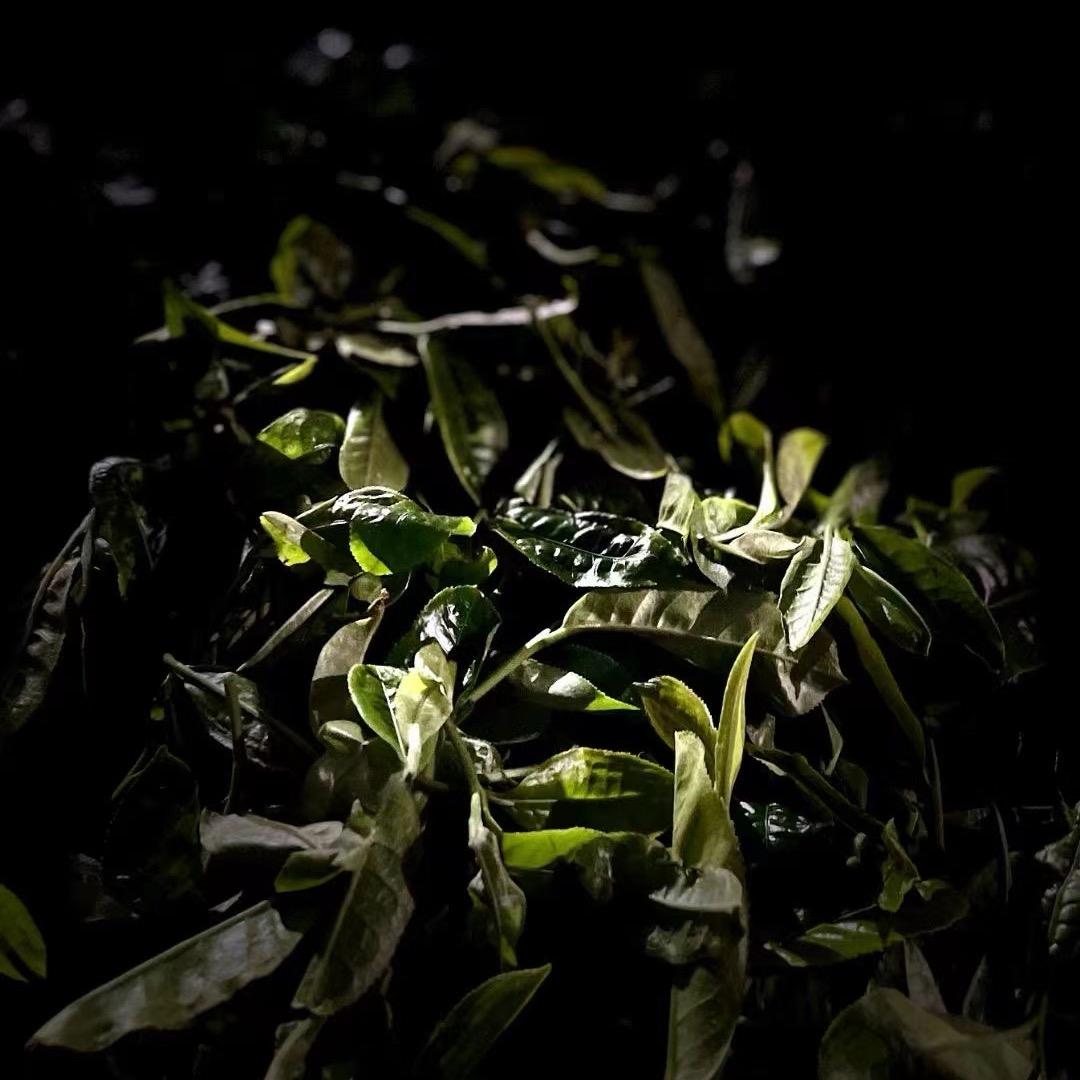 菩玖禾茶业