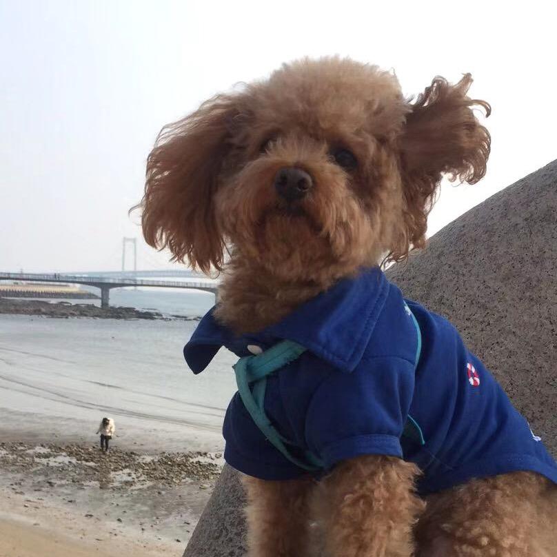 鱼11111111头像