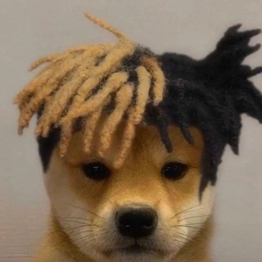 睡不醒