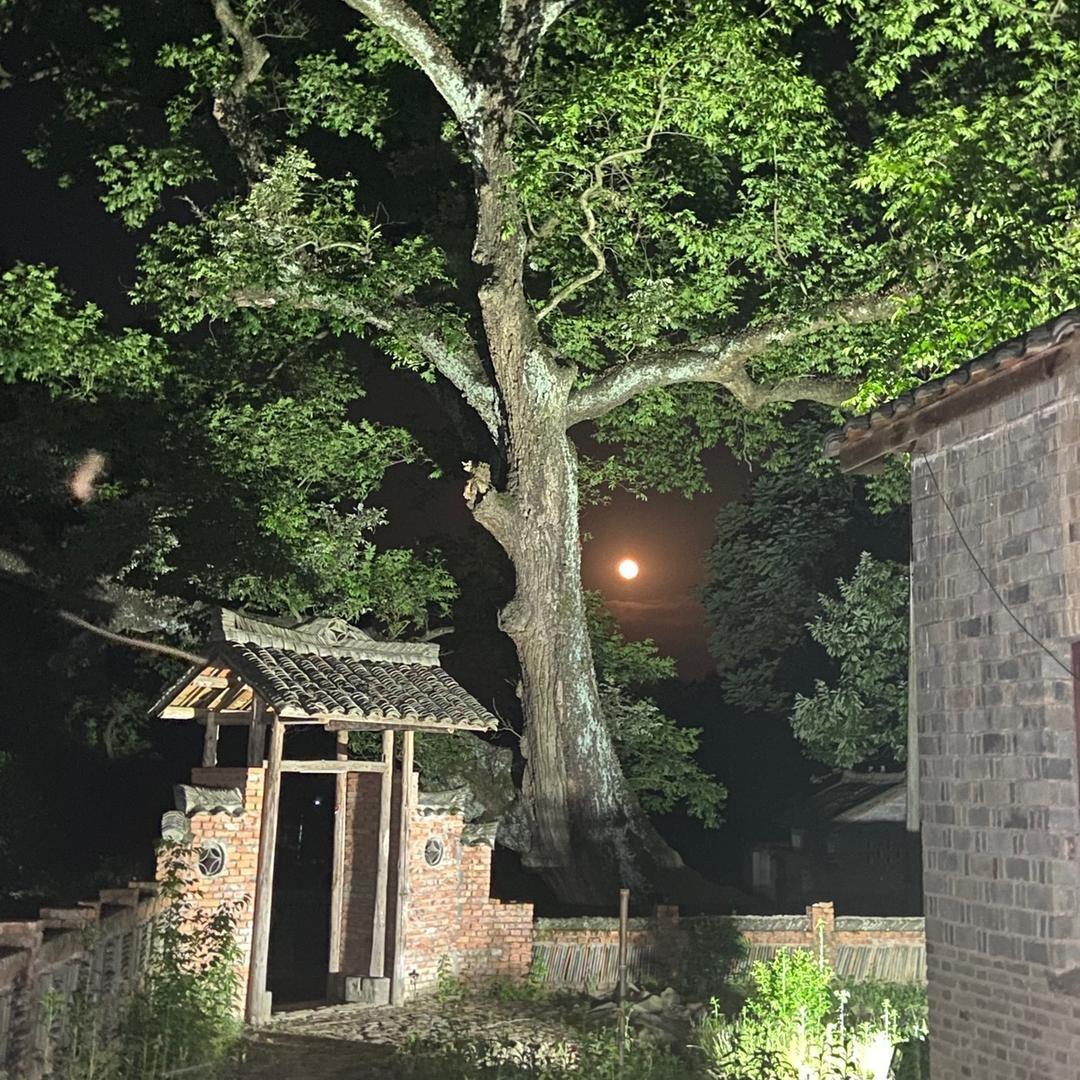 农耕小武