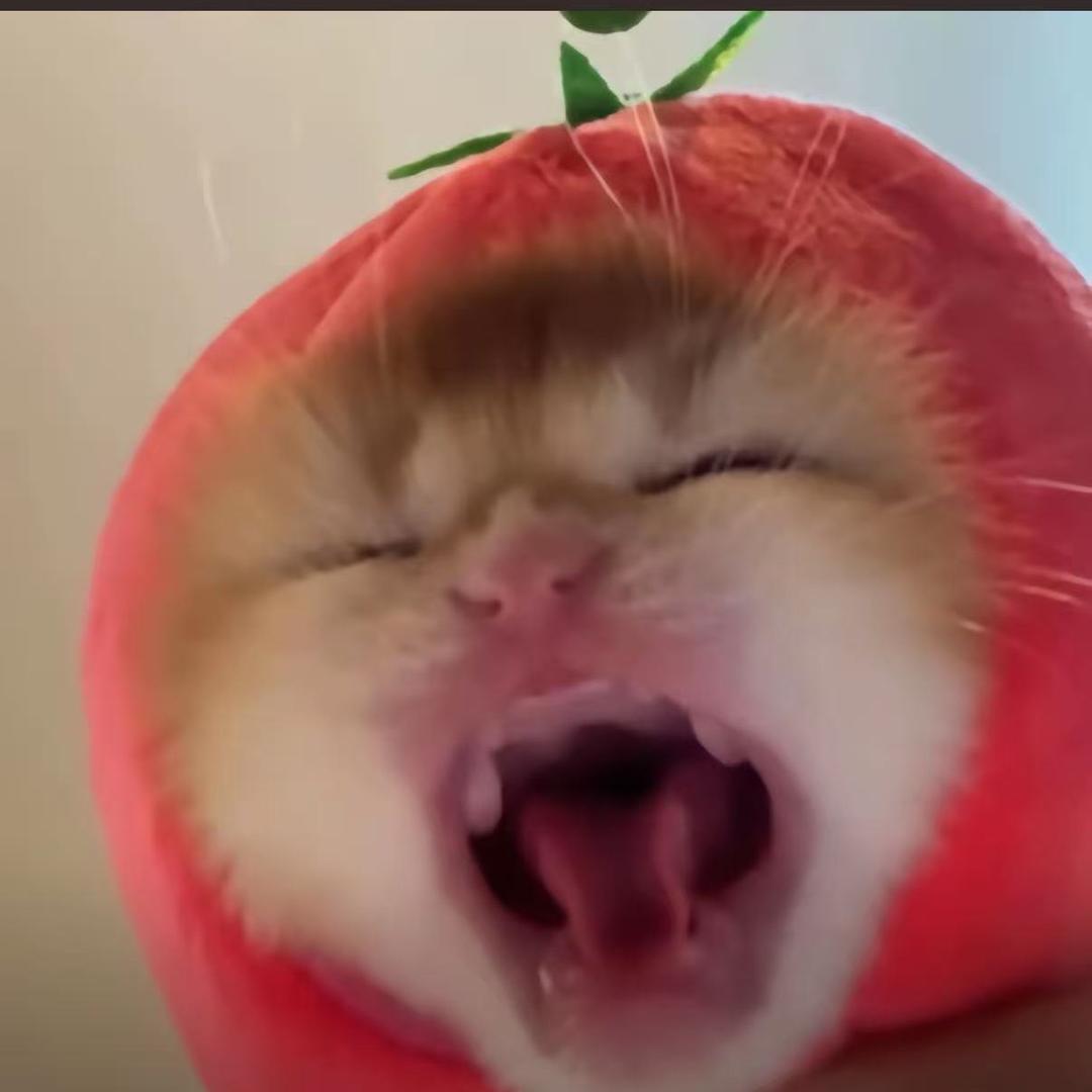 飞天小钢牙